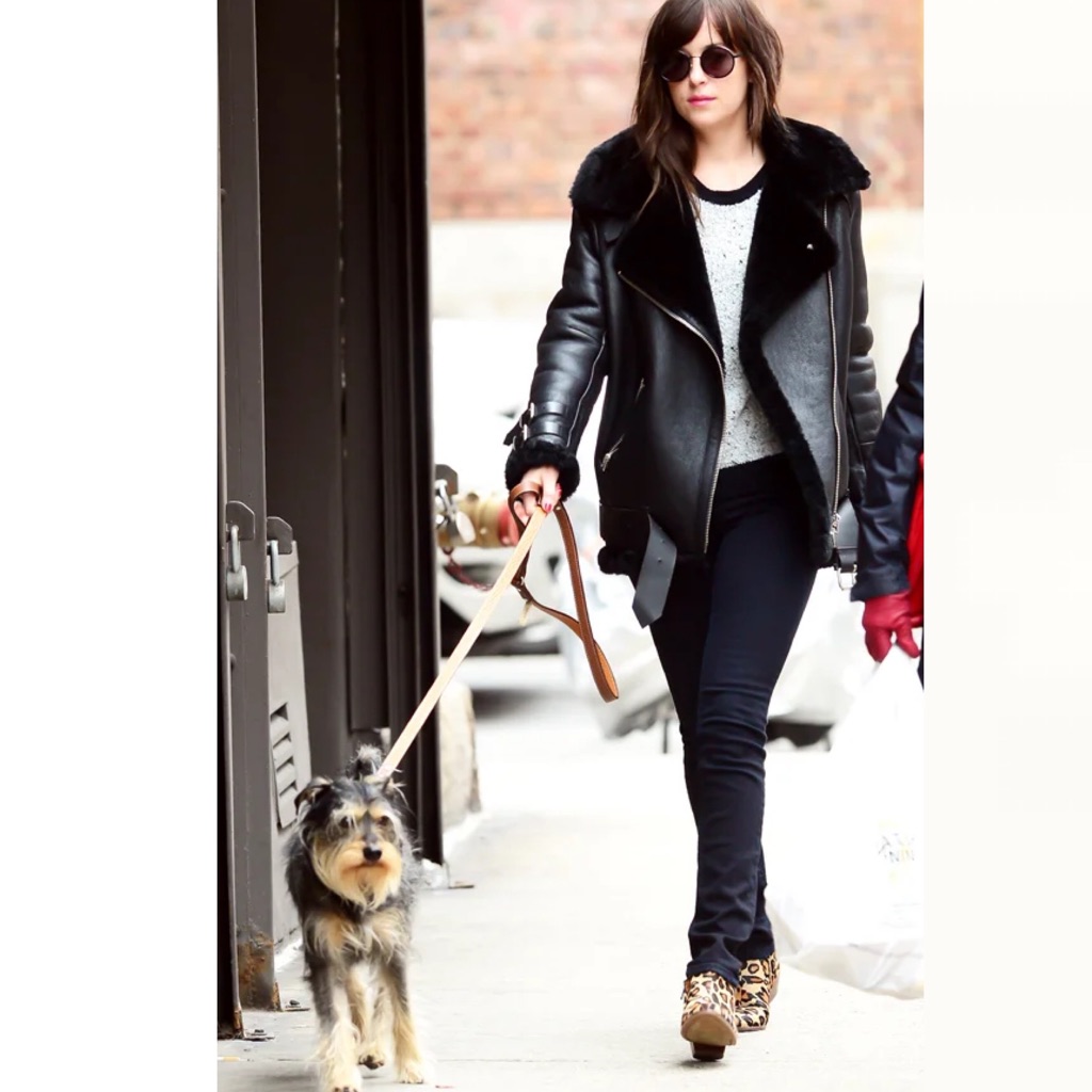 Walter Baker Celine Lamb Leather Shearling Jacket Luxe Heavy Statement Moto Coat